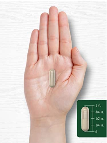 Carlyle Silica Kapseln – 200 Stück | Aus Schachtelhalm Extrakt | Nicht-GVO & Glutenfrei