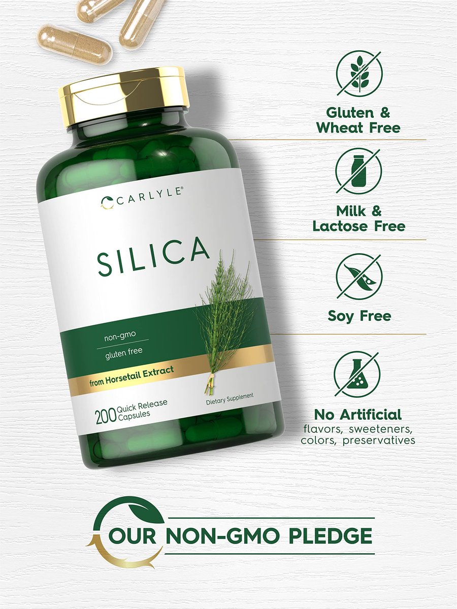 Carlyle Silica Kapseln – 200 Stück | Aus Schachtelhalm Extrakt | Nicht-GVO & Glutenfrei