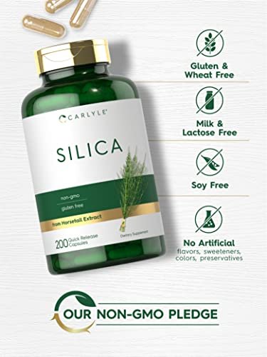 Carlyle Silica Kapseln – 200 Stück | Aus Schachtelhalm Extrakt | Nicht-GVO & Glutenfrei