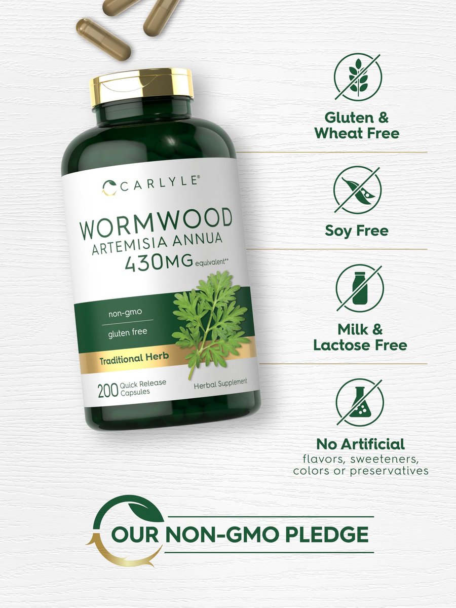 Carlyle Wermut Kapseln | Artemisia Annua Kraut | 200 Stück | Non-GMO & Glutenfrei Nahrungsergänzungsmittel