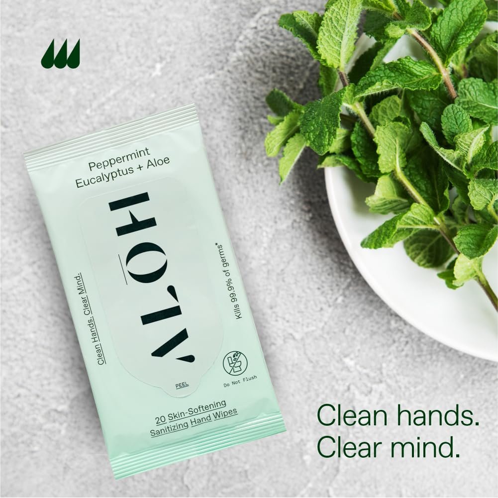 ALŌH Peppermint Eucalyptus + Aloe Handdesinfizierende Feuchttücher – Saubere Hände, klarer Geist unterwegs – Reisegröße 3er-Pack 20 Tücher (60 Tücher)
