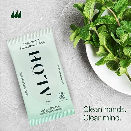 ALŌH Peppermint Eucalyptus + Aloe Handdesinfizierende Feuchttücher – Saubere Hände, klarer Geist unterwegs – Reisegröße 3er-Pack 20 Tücher (60 Tücher)