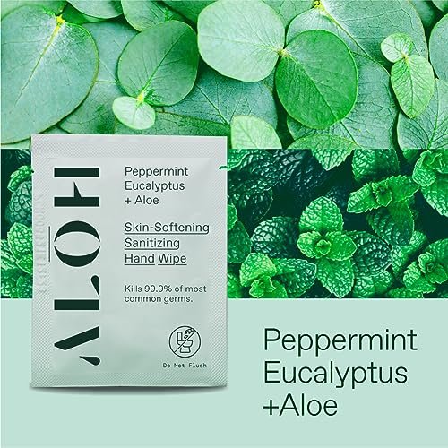 ALŌH Skin - Hautschonende Desinfektionstücher für die Hände – Pfefferminze + Eukalyptus Aloe (1 Box mit 20 einzeln verpackten Tüchern)