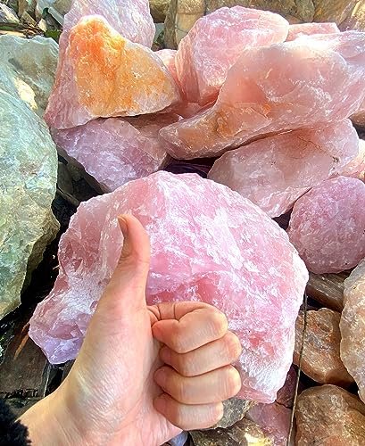 QINJIEJIE 10er-Pack Rohkristalle Edelsteine Heilsteine 1 Zoll große Steine für Tumbling, Cabochons, Brunnensteine, Dekoration, Polieren, Handarbeit, Wicca Reiki Rohquarz