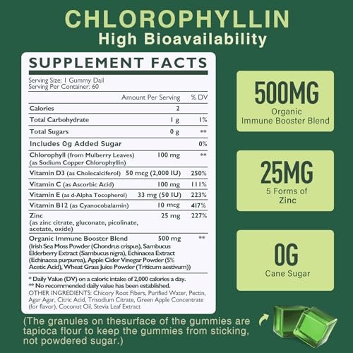 Chlorophyll Gummies - Super Green mit Weizengras, Seemoos, ungefiltertem ACV & Holunderbeere, Echinacea, Zink-Komplex & Vitamin D3, C, E, B12 für natürliches Deodorant, Immun- und Verdauungsunterstützung, 60 Kaugummis