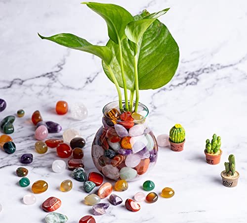 FORBY 1,36 kg Natürliche Bulk-Mischung Tumbled Poliersteine Kristallset Echte Rohsteine für Wohnkultur Reiki Geschenke Energietherapie Anfänger Größe 15 mm