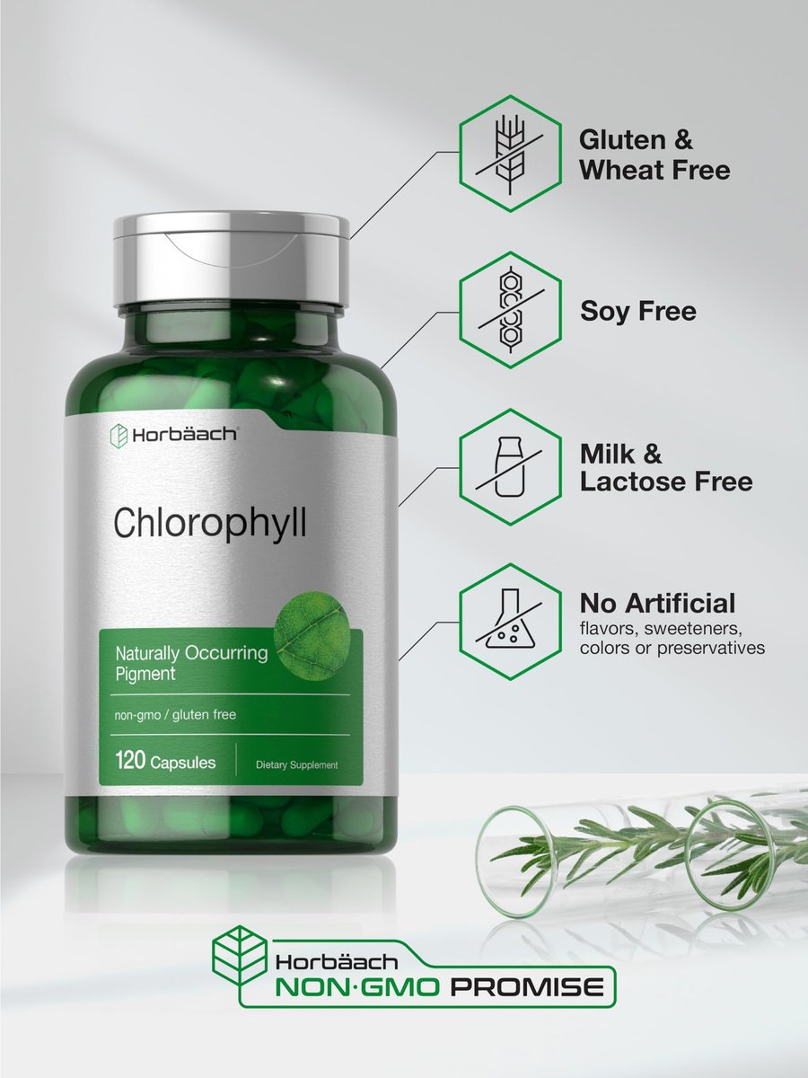 Horbäach Chlorophyll Kapseln | 120 Stück | mit Kupfer | Nicht-GMO & Glutenfrei