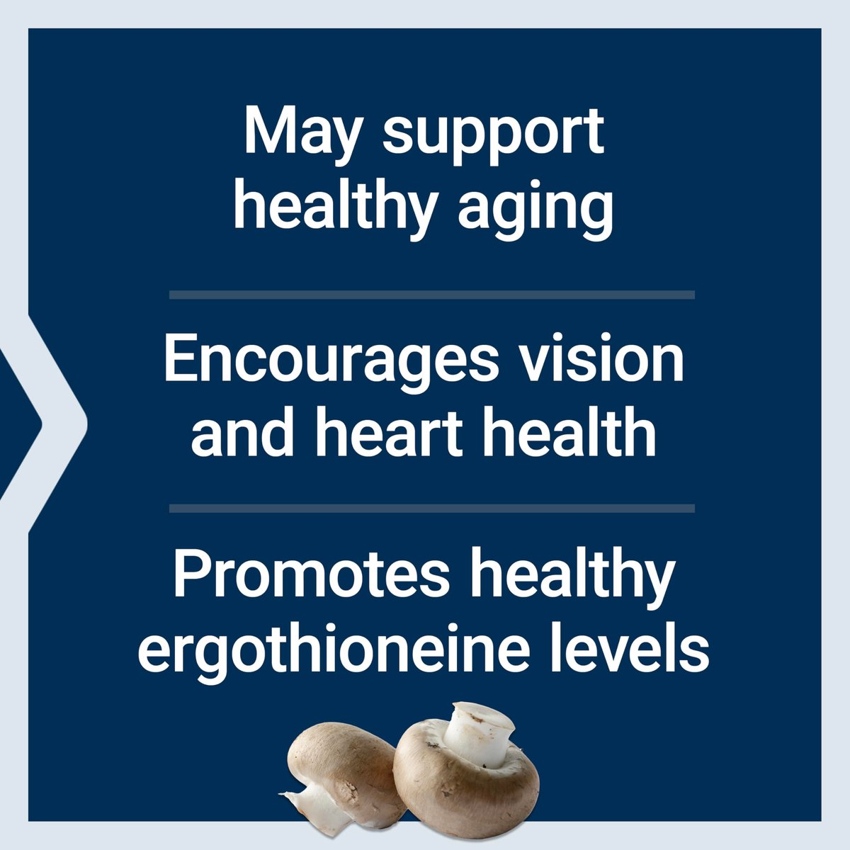 Life Extension Essential Youth L-Ergothionein – Fördert Langlebigkeit & gesundes Altern – Glutenfrei – Nicht-GVO – Vegetarisch – 5 mg – 30 vegetarische Kapseln