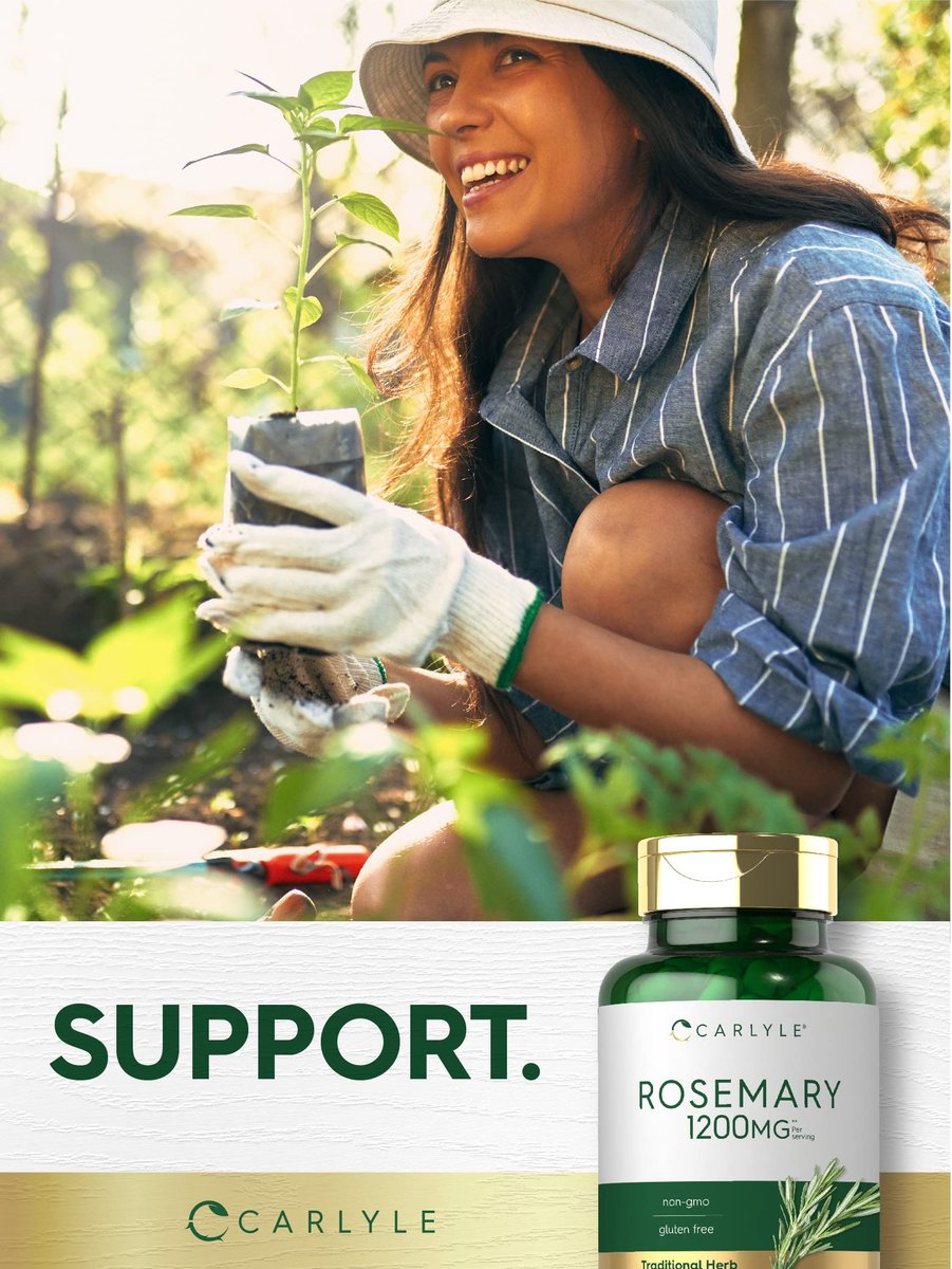 Carlyle Rosmarin Kapseln | 200 Stück | Non-GMO & Glutenfrei Extrakt