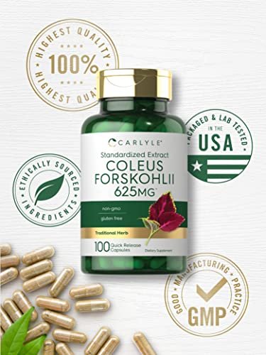Carlyle Coleus Forskohlii Kapseln | 100 Stück | Forskolin Standardisierter Extrakt | Non-GMO & Glutenfrei