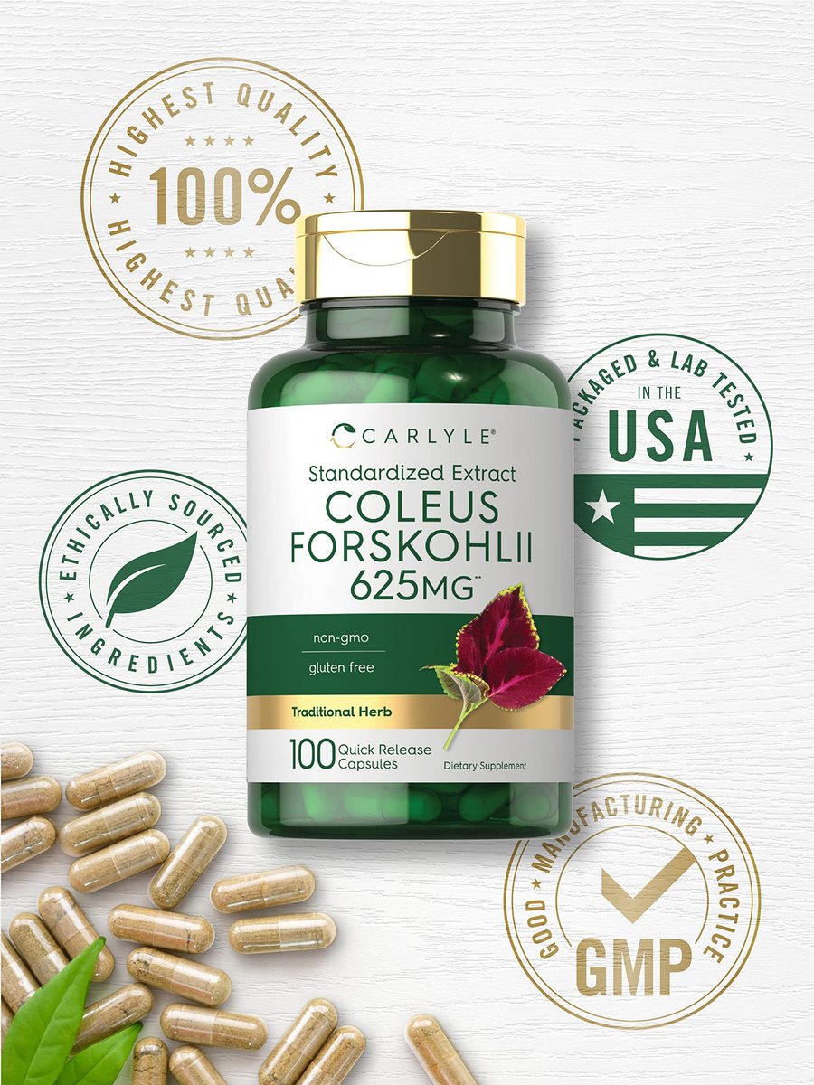 Carlyle Coleus Forskohlii Kapseln | 100 Stück | Forskolin Standardisierter Extrakt | Non-GMO & Glutenfrei