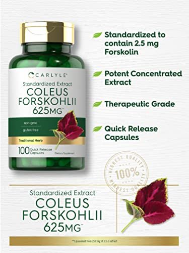 Carlyle Coleus Forskohlii Kapseln | 100 Stück | Forskolin Standardisierter Extrakt | Non-GMO & Glutenfrei