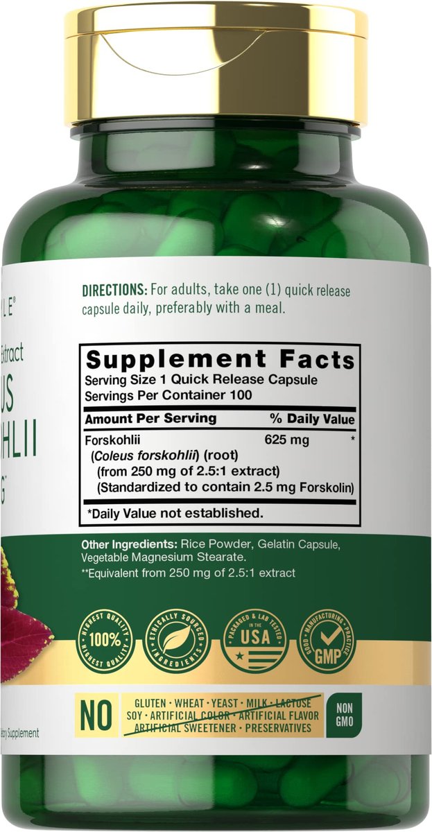 Carlyle Coleus Forskohlii Kapseln | 100 Stück | Forskolin Standardisierter Extrakt | Non-GMO & Glutenfrei
