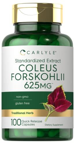 Carlyle Coleus Forskohlii Kapseln | 100 Stück | Forskolin Standardisierter Extrakt | Non-GMO & Glutenfrei
