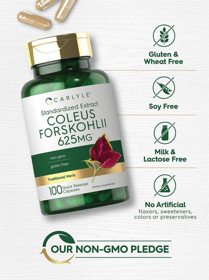 Carlyle Coleus Forskohlii Kapseln | 100 Stück | Forskolin Standardisierter Extrakt | Non-GMO & Glutenfrei