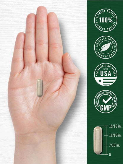 Carlyle Mariendistel | 180 Kapseln | mit Löwenzahn & Gelbwurzel | Non-GMO, Glutenfrei