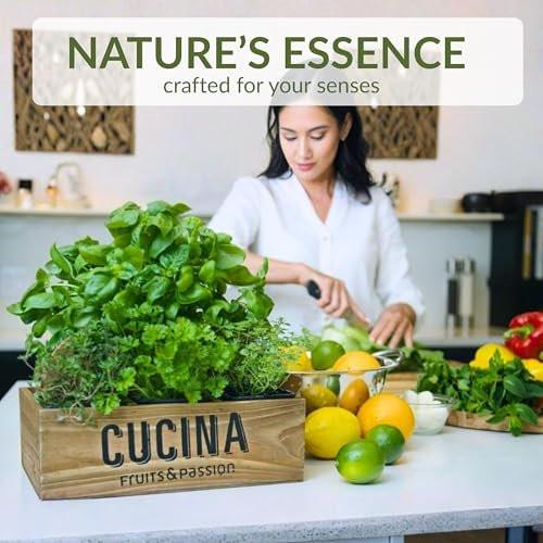 Cucina Fruits & Passion Handseife Nachfüllpack – Koriander & Olivenbaum – 1 Liter – Mit Olivenöl angereicherte Küchenseife – Biologisch abbaubar – Vegan – Hergestellt in Kanada
