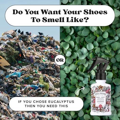 Sole-Pourri Schuhdeo & Fußspray, 100 ml, bis zu 150 Anwendungen, Geruchsbekämpfer mit ätherischen Ölen, für stinkende Schuhe, Füße & Sporttaschen, Zedernholz & Eukalyptus Duft