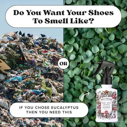 Sole-Pourri Schuhdeo & Fußspray, 100 ml, bis zu 150 Anwendungen, Geruchsbekämpfer mit ätherischen Ölen, für stinkende Schuhe, Füße & Sporttaschen, Zedernholz & Eukalyptus Duft