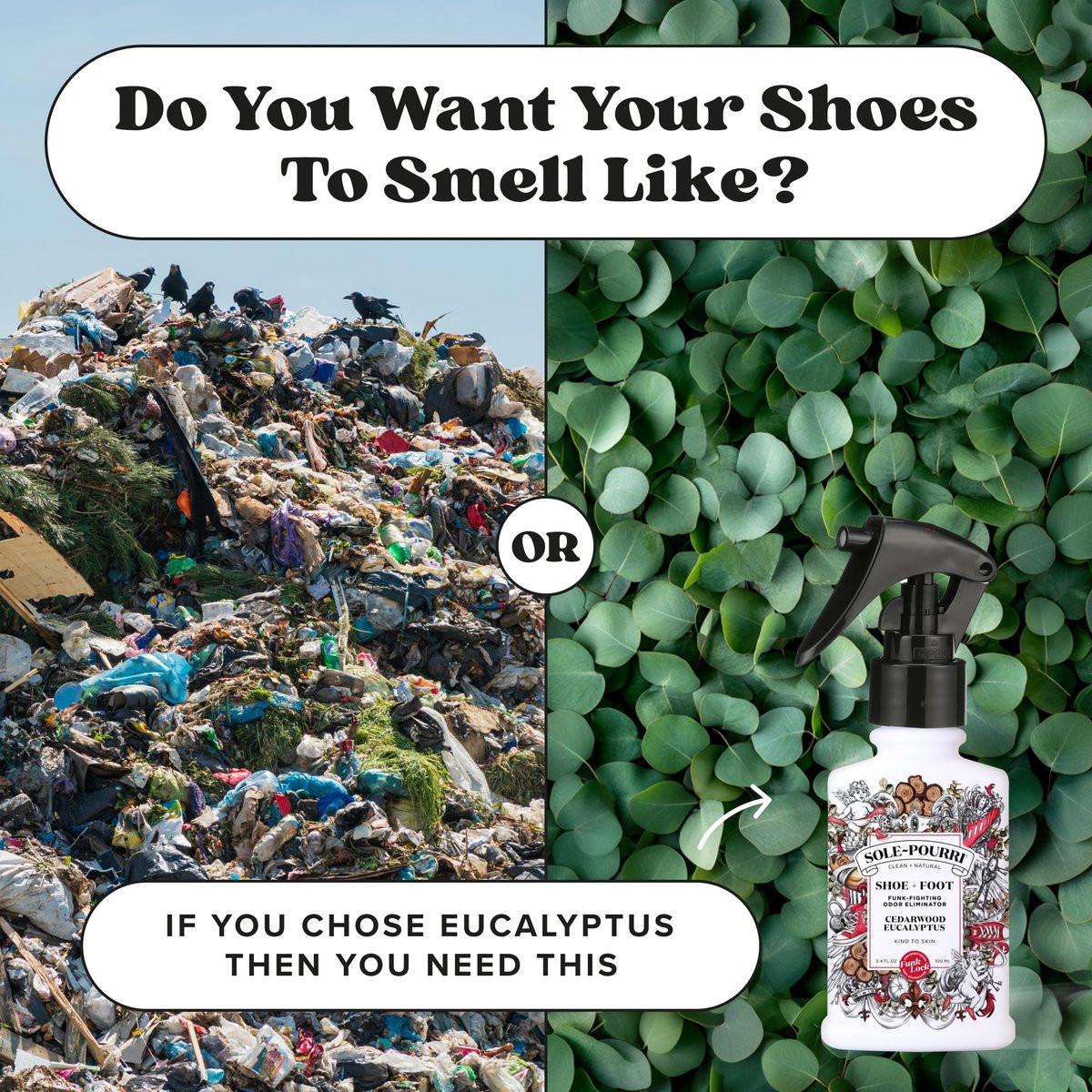 Sole-Pourri Schuhdeo & Fußspray, 100 ml, bis zu 150 Anwendungen, Geruchsbekämpfer mit ätherischen Ölen, für stinkende Schuhe, Füße & Sporttaschen, Zedernholz & Eukalyptus Duft