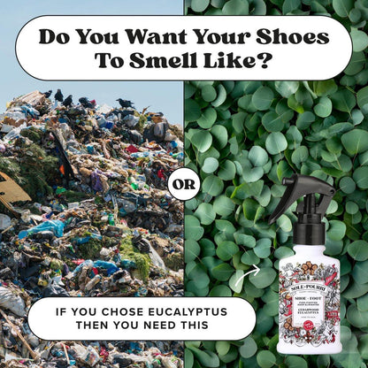Sole-Pourri Schuhdeo & Fußspray, 100 ml, bis zu 150 Anwendungen, Geruchsbekämpfer mit ätherischen Ölen, für stinkende Schuhe, Füße & Sporttaschen, Zedernholz & Eukalyptus Duft