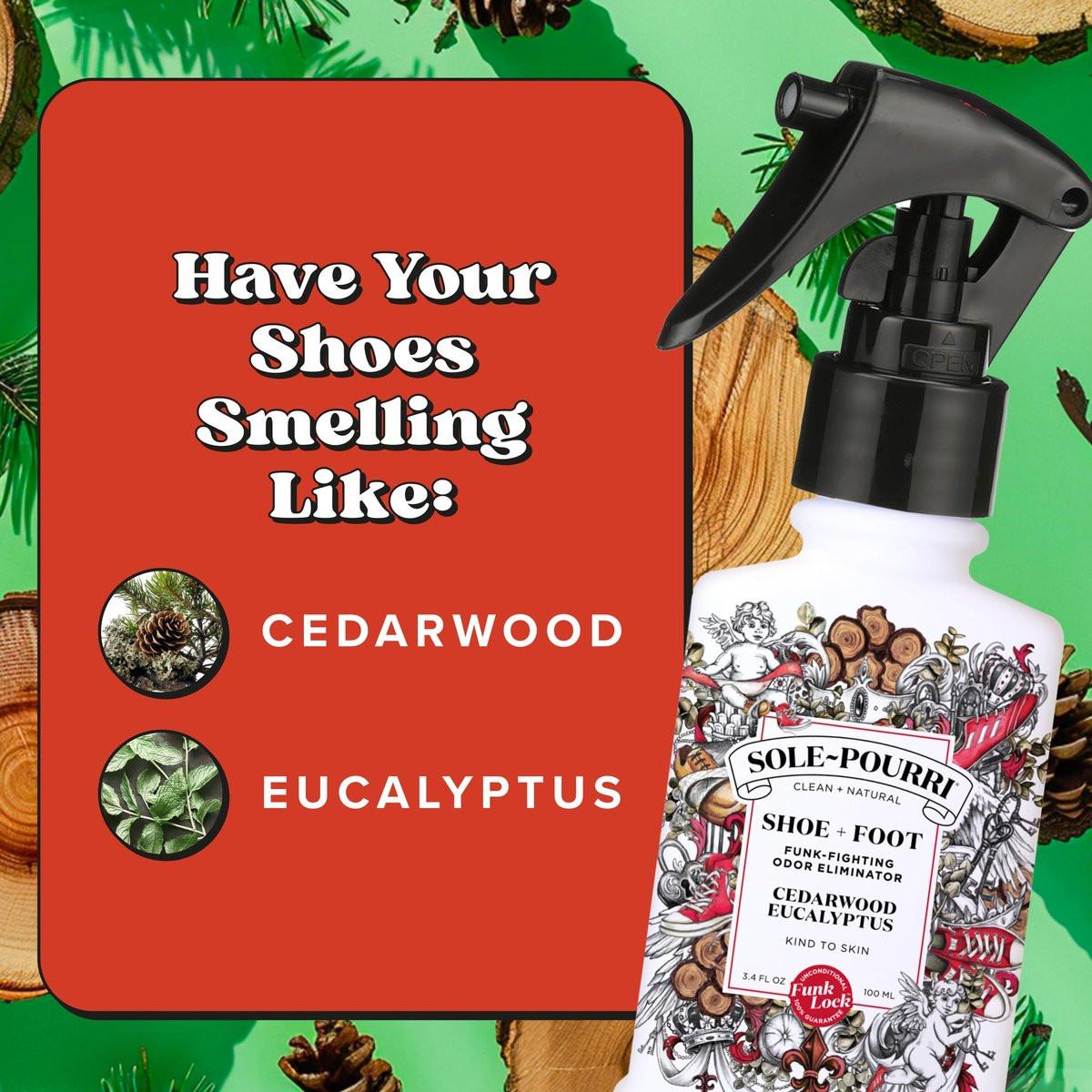 Sole-Pourri Schuhdeo & Fußspray, 100 ml, bis zu 150 Anwendungen, Geruchsbekämpfer mit ätherischen Ölen, für stinkende Schuhe, Füße & Sporttaschen, Zedernholz & Eukalyptus Duft
