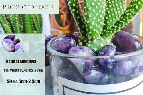 DUQGUHO Amethyst Heilende Kristalle Steine Set - Natürliche Massivkristalle, polierte unregelmäßige Kristallsteine, Bulk Steine 0,45 Pfund (0,6 bis 1 Zoll)