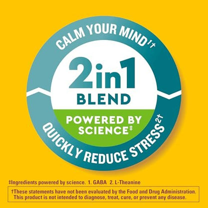Nature Made Wellblends Stress Relief Gummies – L-Theanin 200 mg & GABA 100 mg, 40 Erdbeer-Gummis zur Stressreduktion