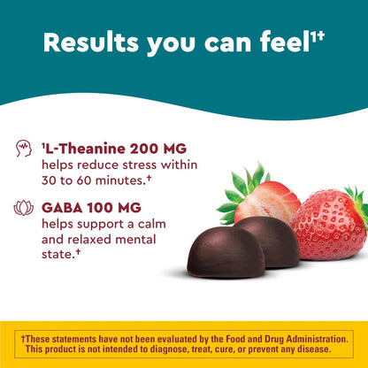 Nature Made Wellblends Stress Relief Gummies – L-Theanin 200 mg & GABA 100 mg, 40 Erdbeer-Gummis zur Stressreduktion