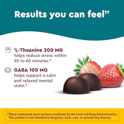 Nature Made Wellblends Stress Relief Gummies – L-Theanin 200 mg & GABA 100 mg, 40 Erdbeer-Gummis zur Stressreduktion