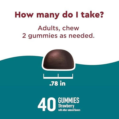 Nature Made Wellblends Stress Relief Gummies – L-Theanin 200 mg & GABA 100 mg, 40 Erdbeer-Gummis zur Stressreduktion