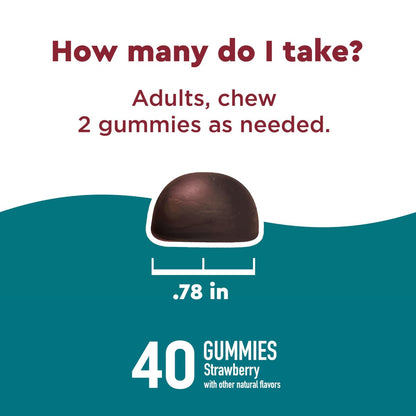 Nature Made Wellblends Stress Relief Gummies – L-Theanin 200 mg & GABA 100 mg, 40 Erdbeer-Gummis zur Stressreduktion