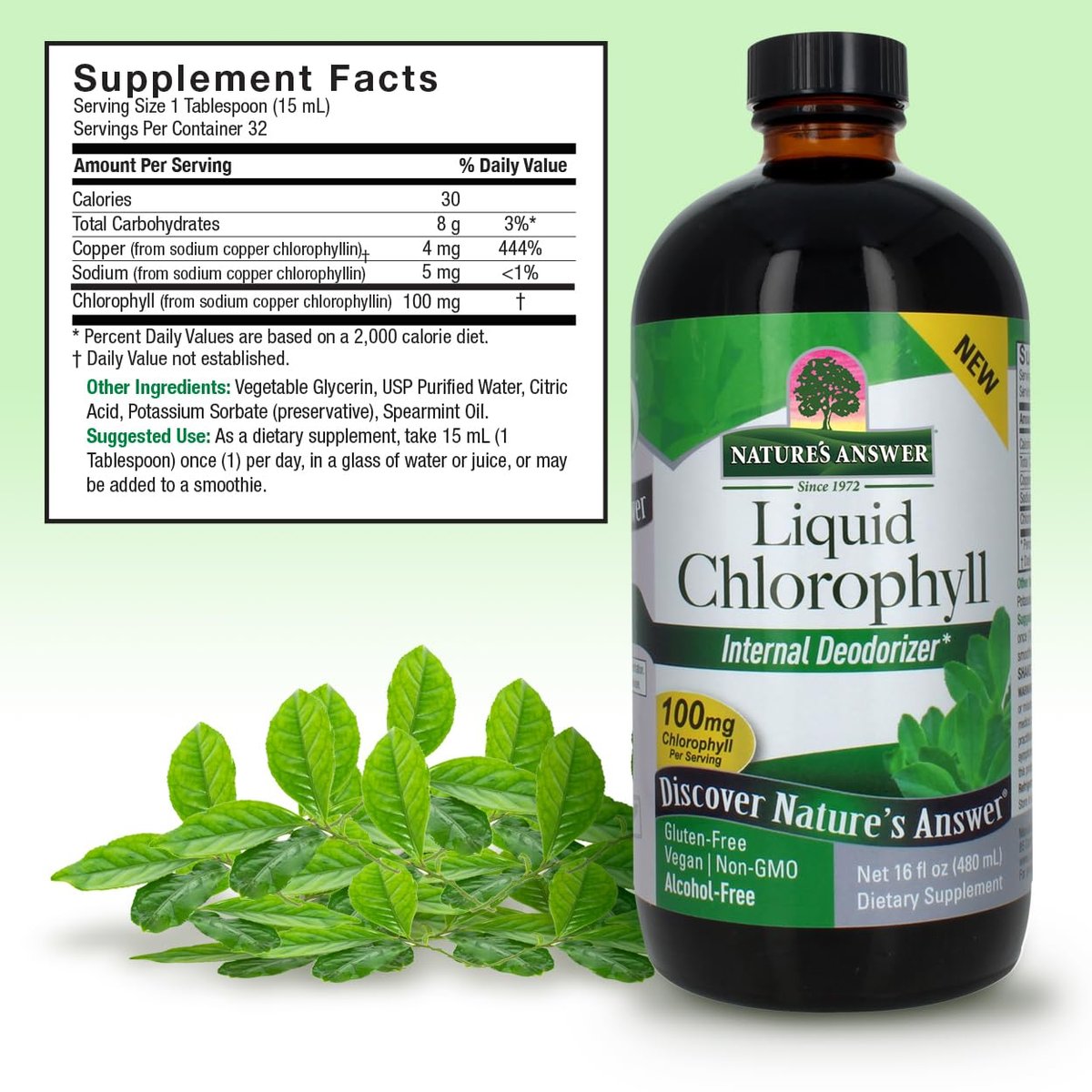 Nature's Answer Flüssigchlorophyll, 100 mg, 480 ml – Natürlicher Reiniger & Energiebooster