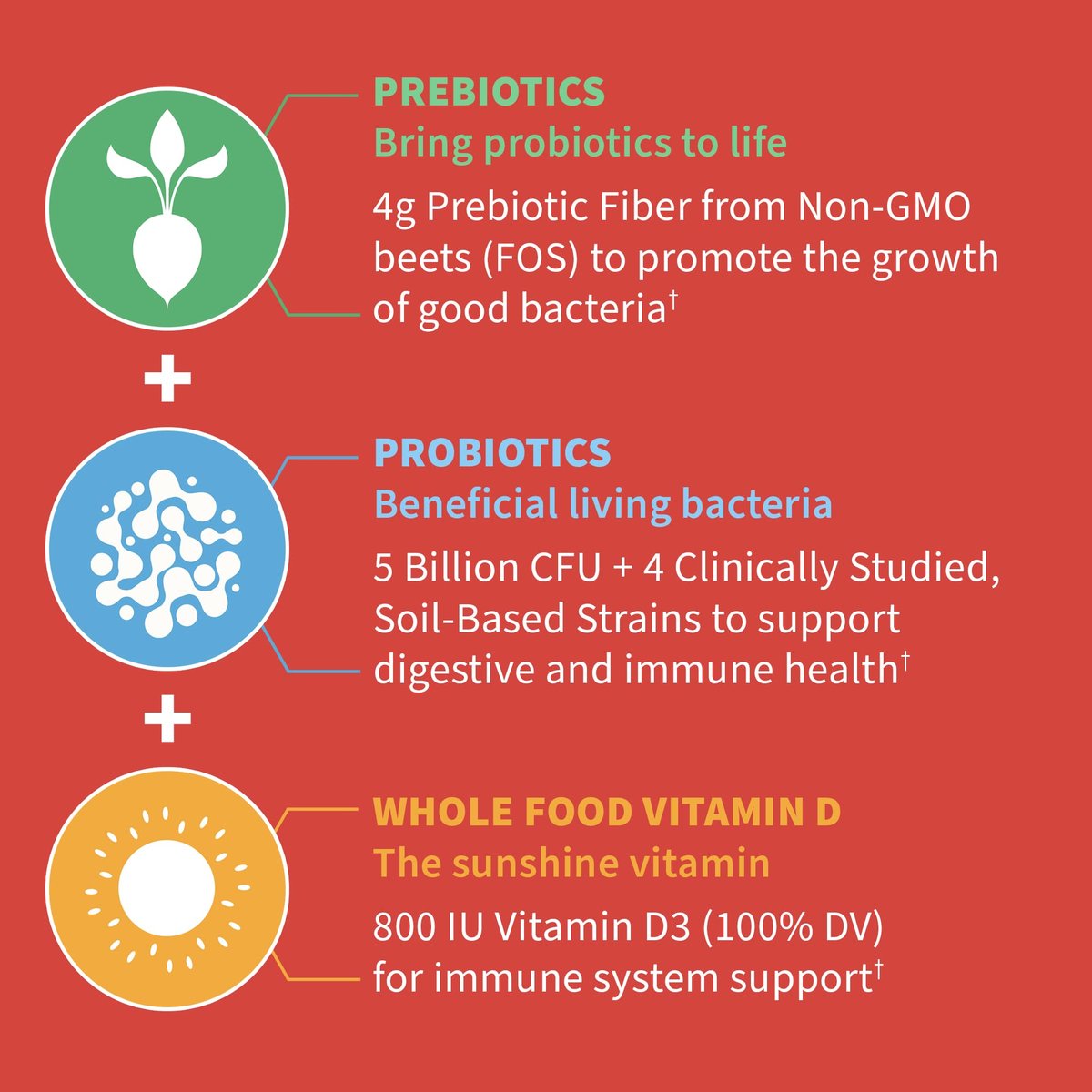 Garden of Life Dr. Formulated 5 Milliarden CFU Präbiotikum-Ballaststoff, Probiotikum und Vitamin D3 Gummis für Kinder – Verdauungs- & Immunsystem-Gesundheit – Glutenfrei, Ohne Zuckerzusatz, Erdbeergeschmack, 60 Gummis