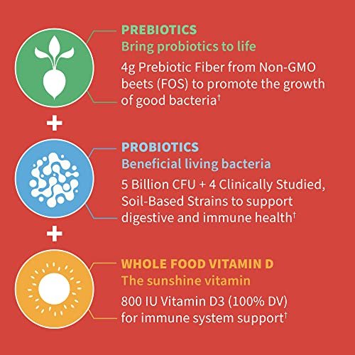 Garden of Life Dr. Formulated 5 Milliarden CFU Präbiotikum-Ballaststoff, Probiotikum und Vitamin D3 Gummis für Kinder – Verdauungs- & Immunsystem-Gesundheit – Glutenfrei, Ohne Zuckerzusatz, Erdbeergeschmack, 60 Gummis