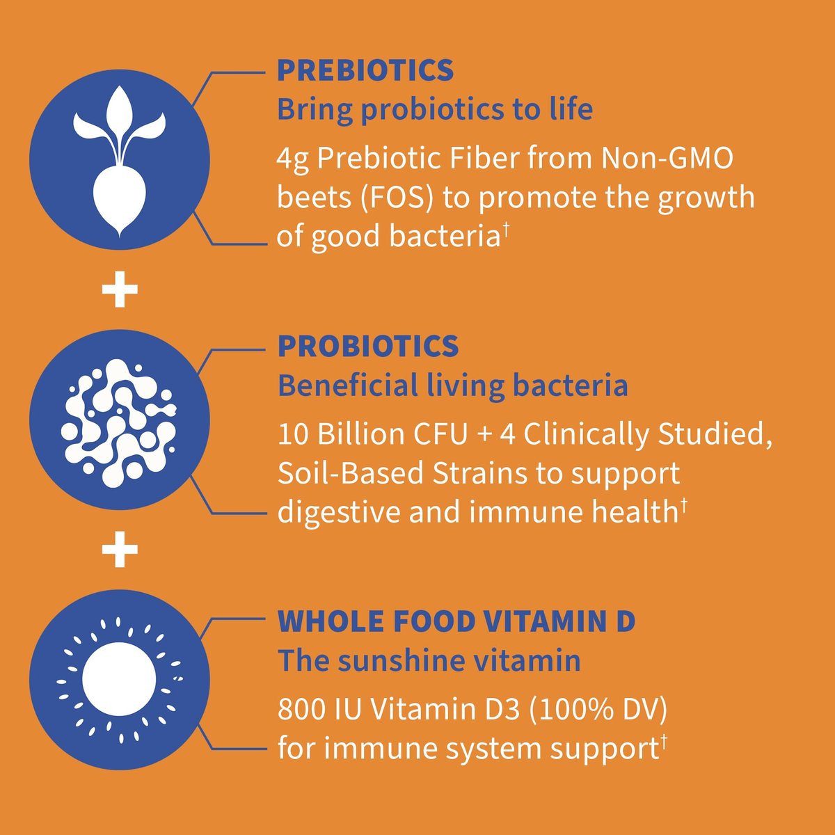 Garden of Life Dr Formulated 10 Milliarden KBE Präbiotikum & Probiotikum Gummis mit Vitamin D3 – für Verdauungs- und Immunsystem – glutenfrei, ohne Gentechnik, ohne Zuckerzusatz, Geschmack Orange Dream, 60 Gummis