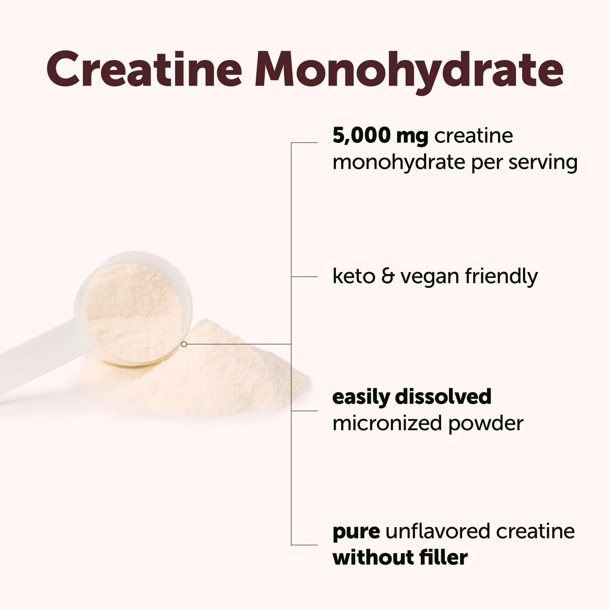 Micro Ingredients Kreatin Monohydrat Pulver 500 g (1,1 Pfund), 5000 mg pro Portion, mikronisiertes Kreatinpulver, ungewürzt, ohne Füllstoffe, keto- und veganfreundlich, leicht löslich, Pre-Workout für Frauen und Männer
