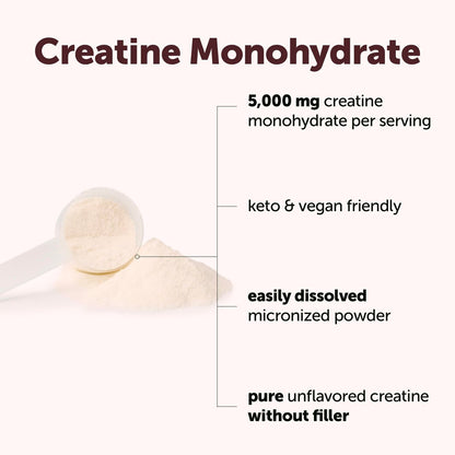 Micro Ingredients Kreatin Monohydrat Pulver 500 g (1,1 Pfund), 5000 mg pro Portion, mikronisiertes Kreatinpulver, ungewürzt, ohne Füllstoffe, keto- und veganfreundlich, leicht löslich, Pre-Workout für Frauen und Männer