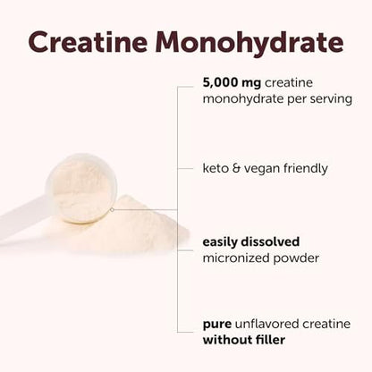 Micro Ingredients Kreatin Monohydrat Pulver 500 g (1,1 Pfund), 5000 mg pro Portion, mikronisiertes Kreatinpulver, ungewürzt, ohne Füllstoffe, keto- und veganfreundlich, leicht löslich, Pre-Workout für Frauen und Männer