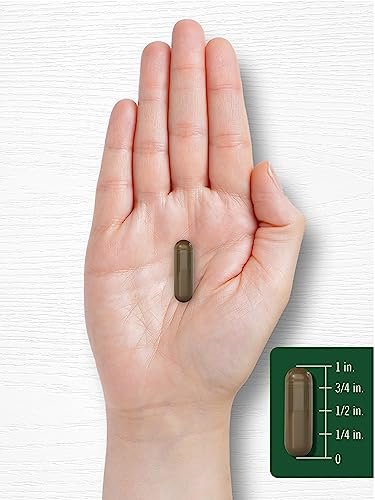 Carlyle Schisandra Supplement 1160 mg | 200 Kapseln | Beerenfruchtextrakt | Non-GMO & Glutenfrei
