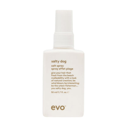 EVO Salty Dog Sea Salt Haarspray für alle Haartypen – Strandtextur & Volumenspray mit mattem Finish – 1,7 fl oz, Reisegröße