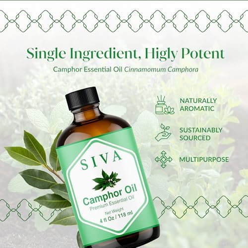 Siva Kampferöl 118 ml – 100 % natürliches Kampferöl für Diffuser, Gesicht, Hautpflege, Aromatherapie, Haarpflege, Kopfhaut und Körpermassage – mit Pipette