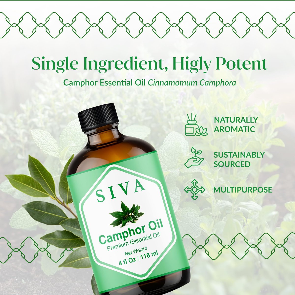 Siva Kampferöl 118 ml – 100 % natürliches Kampferöl für Diffuser, Gesicht, Hautpflege, Aromatherapie, Haarpflege, Kopfhaut und Körpermassage – mit Pipette
