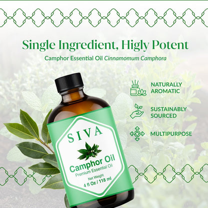 Siva Kampferöl 118 ml – 100 % natürliches Kampferöl für Diffuser, Gesicht, Hautpflege, Aromatherapie, Haarpflege, Kopfhaut und Körpermassage – mit Pipette