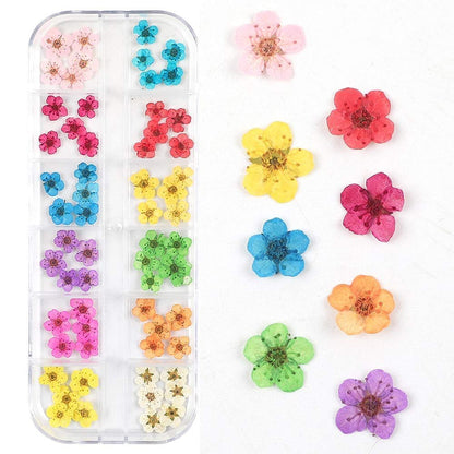 CHANGAR Mini Echte Trockenblumen für Nagelkunst – Natürliche Trockenblumen-Sticker, kleine Aufkleber für Nageldesign, Fünf-Blüten-Blumen für Resin-Nagelkunst-Dekoration, Acryl, Mehrfarbig