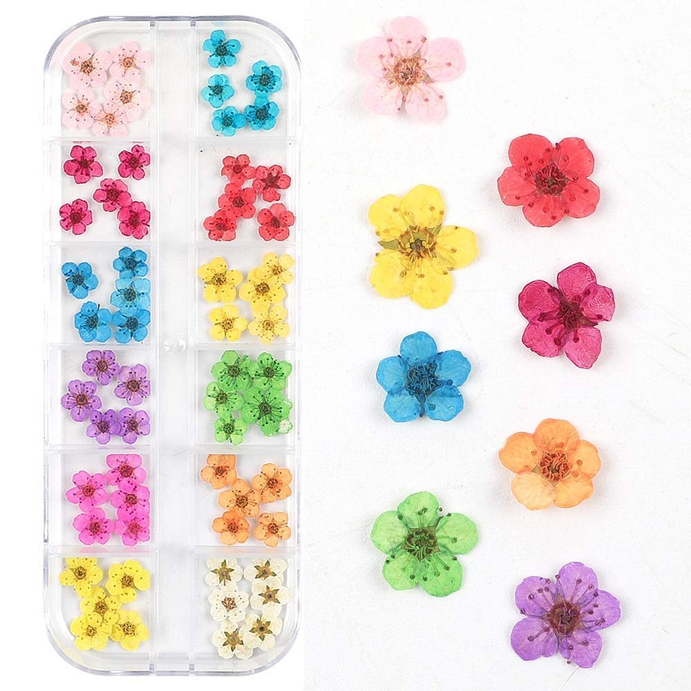 CHANGAR Mini Echte Trockenblumen für Nagelkunst – Natürliche Trockenblumen-Sticker, kleine Aufkleber für Nageldesign, Fünf-Blüten-Blumen für Resin-Nagelkunst-Dekoration, Acryl, Mehrfarbig