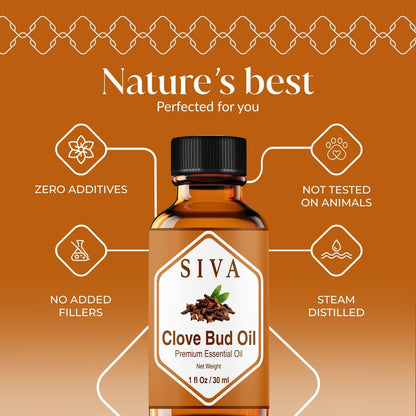SIVA ORGANICS Bio Nelkenknospen-Öl - 30 ml – 100% reines Nelkenknospenöl für Diffuser, Gesicht, Hautpflege, Aromatherapie, Haarpflege, Kopfhaut und Körpermassage – mit Pipette