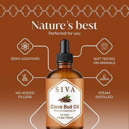 Siva Clove Bud Essential Oil - 4 Fl Oz – 100% Natürliches Nelkenöl für Diffuser, Gesicht, Hautpflege, Aromatherapie, Haarpflege, Kopfhaut und Körpermassage - mit Pipette
