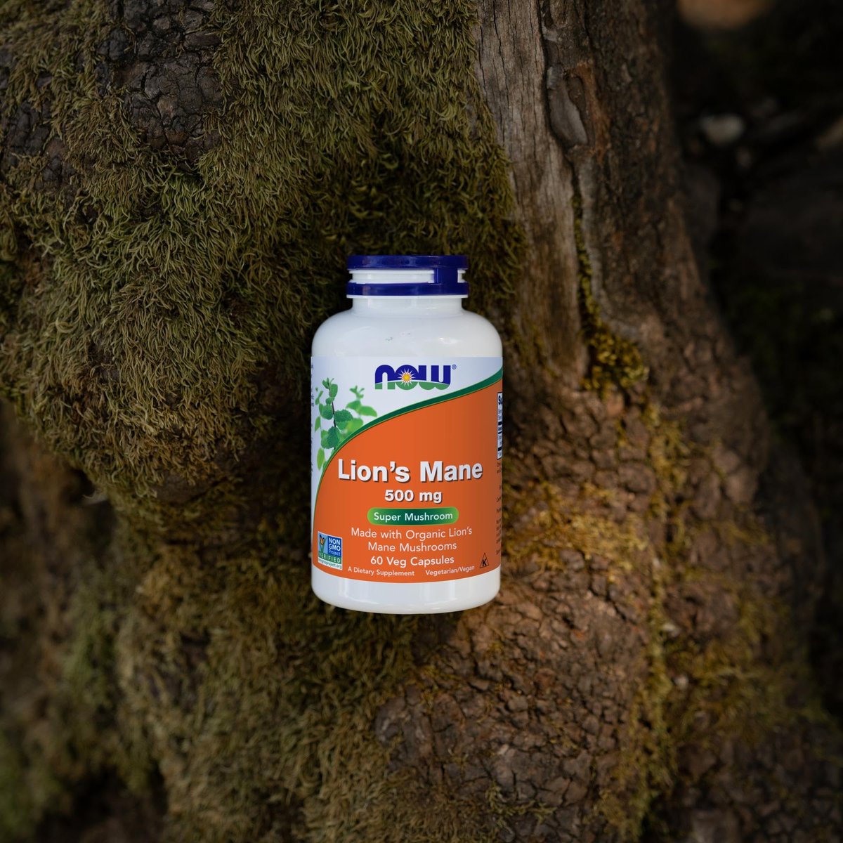 NOW Foods Nahrungsergänzungsmittel, Löwenmähne 500 mg, Superpilz, aus Bio-Löwenmähnenpilzen, 60 vegane Kapseln