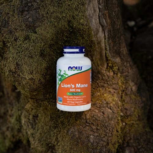 NOW Foods Nahrungsergänzungsmittel, Löwenmähne 500 mg, Superpilz, aus Bio-Löwenmähnenpilzen, 60 vegane Kapseln